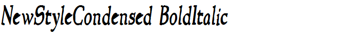 NewStyleCondensed BoldItalic